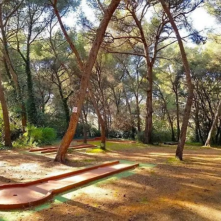 Διαμέρισμα T2 - Piscine - Parking -